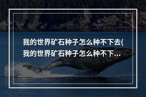 我的世界矿石种子怎么种不下去(我的世界矿石种子怎么种不下去了)