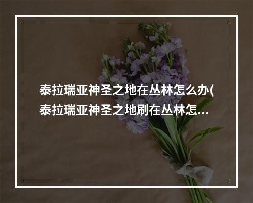 泰拉瑞亚神圣之地在丛林怎么办(泰拉瑞亚神圣之地刷在丛林怎么办)