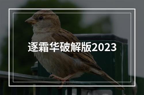 逐霜华破解版2023