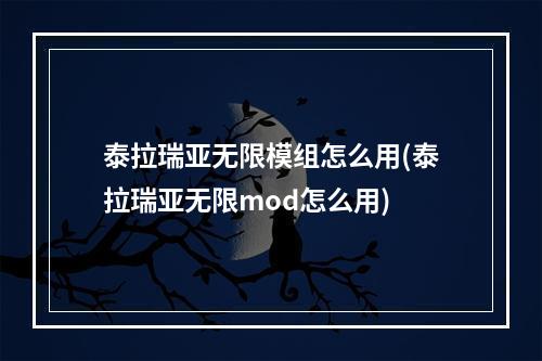 泰拉瑞亚无限模组怎么用(泰拉瑞亚无限mod怎么用)