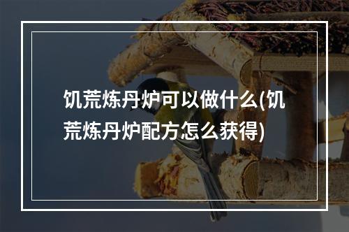 饥荒炼丹炉可以做什么(饥荒炼丹炉配方怎么获得)