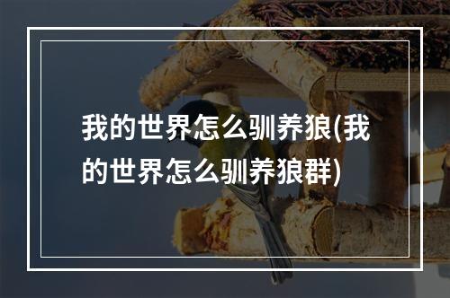 我的世界怎么驯养狼(我的世界怎么驯养狼群)