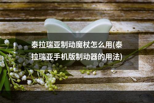 泰拉瑞亚制动魔杖怎么用(泰拉瑞亚手机版制动器的用法)