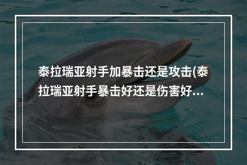 泰拉瑞亚射手加暴击还是攻击(泰拉瑞亚射手暴击好还是伤害好)