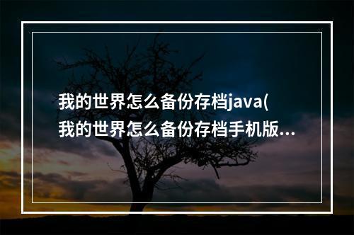 我的世界怎么备份存档java(我的世界怎么备份存档手机版苹果手机)