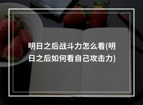 明日之后战斗力怎么看(明日之后如何看自己攻击力)