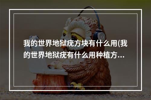 我的世界地狱疣方块有什么用(我的世界地狱疣有什么用种植方法介绍)