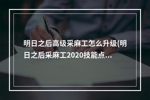 明日之后高级采麻工怎么升级(明日之后采麻工2020技能点)