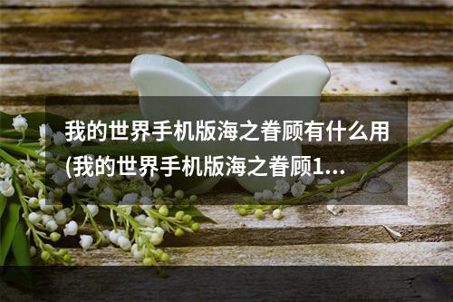 我的世界手机版海之眷顾有什么用(我的世界手机版海之眷顾1000怎么做)