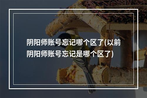 阴阳师账号忘记哪个区了(以前阴阳师账号忘记是哪个区了)