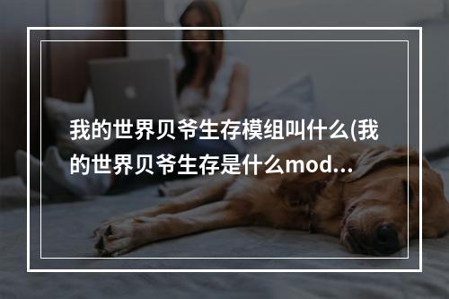 我的世界贝爷生存模组叫什么(我的世界贝爷生存是什么mod)