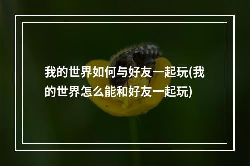 我的世界如何与好友一起玩(我的世界怎么能和好友一起玩)