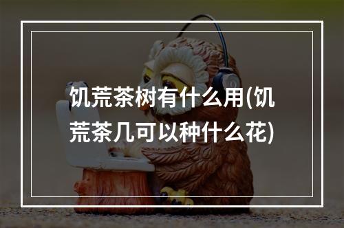 饥荒茶树有什么用(饥荒茶几可以种什么花)