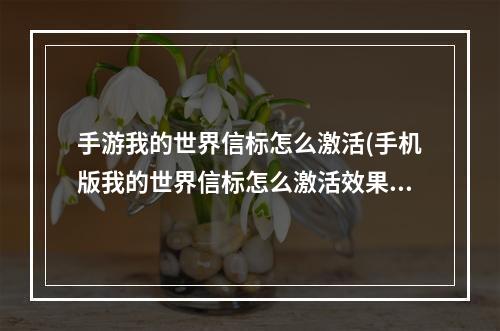 手游我的世界信标怎么激活(手机版我的世界信标怎么激活效果)