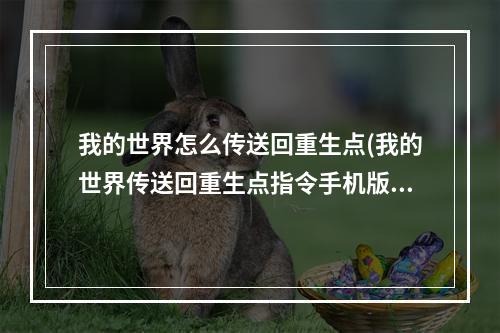 我的世界怎么传送回重生点(我的世界传送回重生点指令手机版)