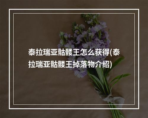 泰拉瑞亚骷髅王怎么获得(泰拉瑞亚骷髅王掉落物介绍)