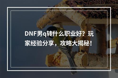 DNF男q转什么职业好？玩家经验分享，攻略大揭秘！