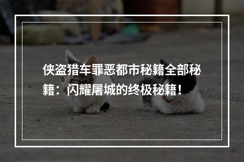 侠盗猎车罪恶都市秘籍全部秘籍：闪耀屠城的终极秘籍！