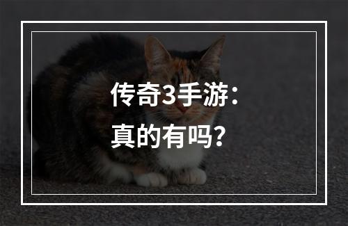 传奇3手游：真的有吗？