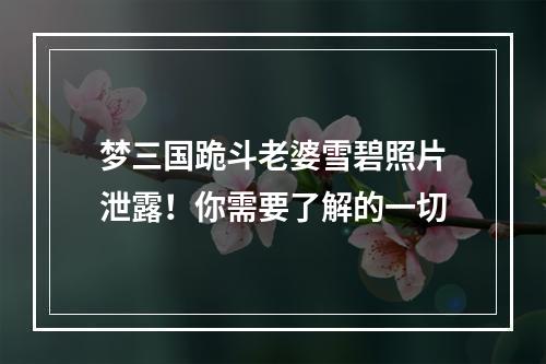 梦三国跪斗老婆雪碧照片泄露！你需要了解的一切