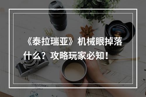 《泰拉瑞亚》机械眼掉落什么？攻略玩家必知！