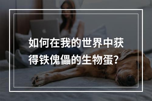 如何在我的世界中获得铁傀儡的生物蛋？