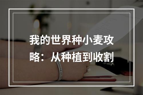 我的世界种小麦攻略：从种植到收割