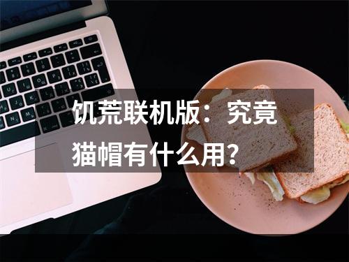 饥荒联机版：究竟猫帽有什么用？