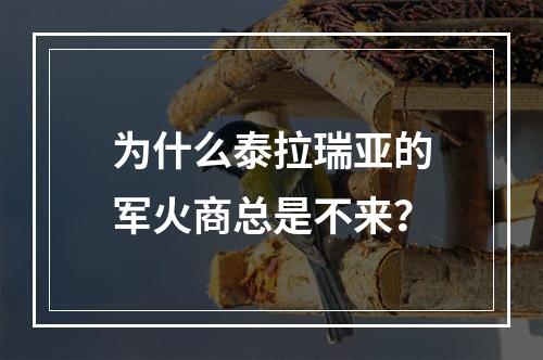 为什么泰拉瑞亚的军火商总是不来？