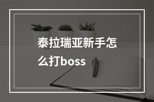 泰拉瑞亚新手怎么打boss