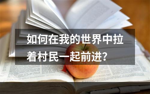 如何在我的世界中拉着村民一起前进？