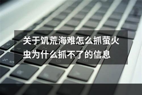 关于饥荒海难怎么抓萤火虫为什么抓不了的信息