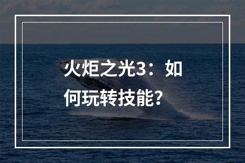 火炬之光3：如何玩转技能？