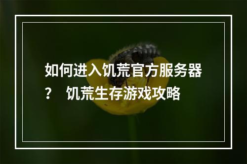 如何进入饥荒官方服务器？  饥荒生存游戏攻略