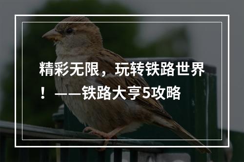 精彩无限，玩转铁路世界！——铁路大亨5攻略