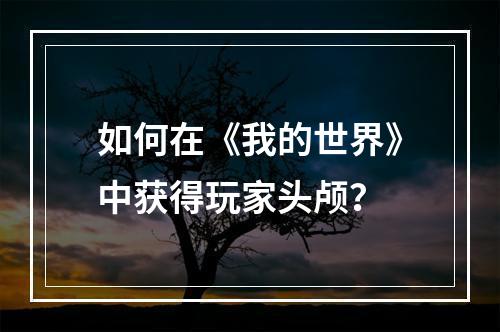 如何在《我的世界》中获得玩家头颅？