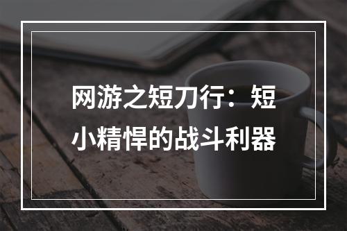 网游之短刀行：短小精悍的战斗利器