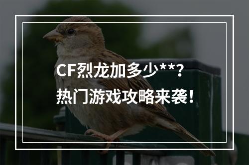 CF烈龙加多少**？热门游戏攻略来袭！