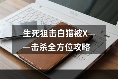 生死狙击白猫被X——击杀全方位攻略