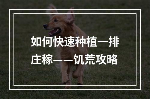 如何快速种植一排庄稼——饥荒攻略