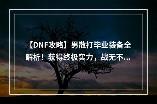 【DNF攻略】男散打毕业装备全解析！获得终极实力，战无不胜！