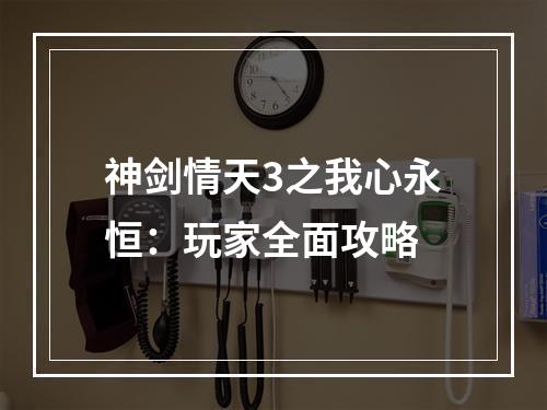 神剑情天3之我心永恒：玩家全面攻略