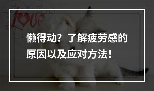 懒得动？了解疲劳感的原因以及应对方法！