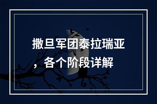 撒旦军团泰拉瑞亚，各个阶段详解