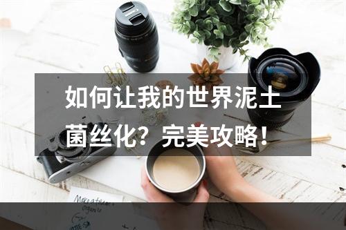 如何让我的世界泥土菌丝化？完美攻略！