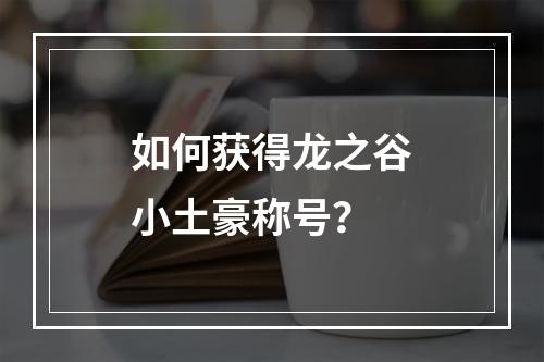 如何获得龙之谷小土豪称号？