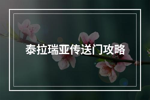 泰拉瑞亚传送门攻略