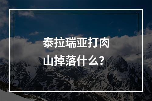 泰拉瑞亚打肉山掉落什么？