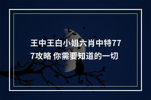 王中王白小姐六肖中特777攻略 你需要知道的一切