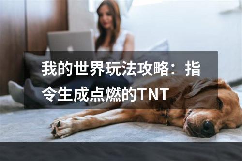 我的世界玩法攻略：指令生成点燃的TNT